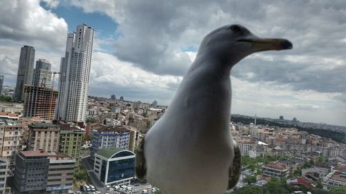 Cityscape against cloudy sky
