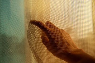 Close-up of hands against window