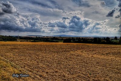 Scenic view of field against sky