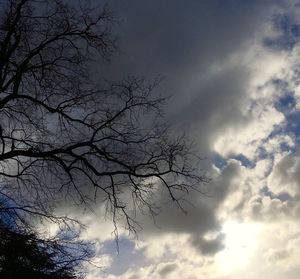 Low angle view of silhouette bare tree against sky