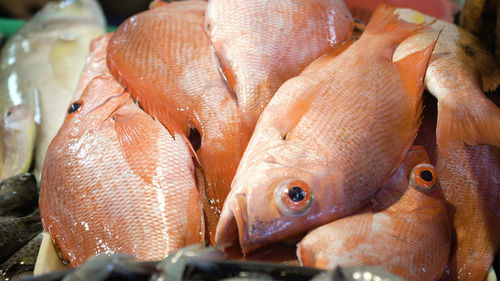Fresh fish in asian market. sale of fresh sea fish in the asian public store. 
