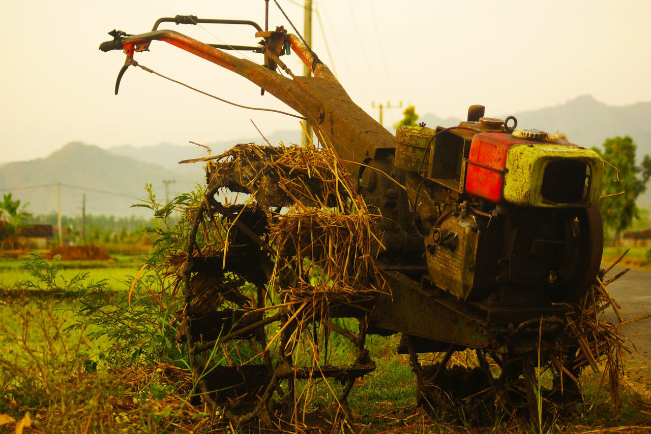 ABANDONED TRUCK ON FIELD