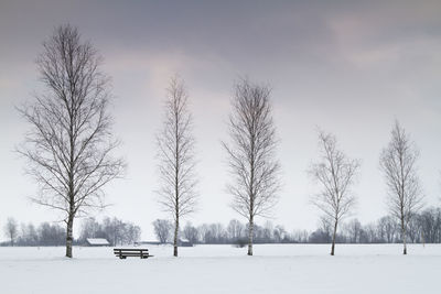 Trees on snow covered landscape against sky