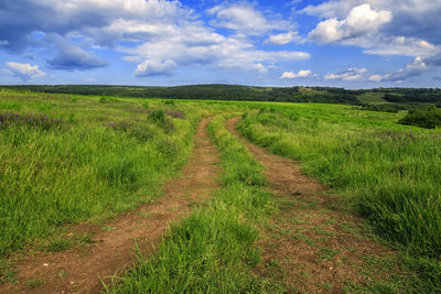 Scenic view of field against sky