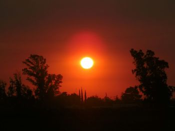 Silhouette of trees on landscape at sunset