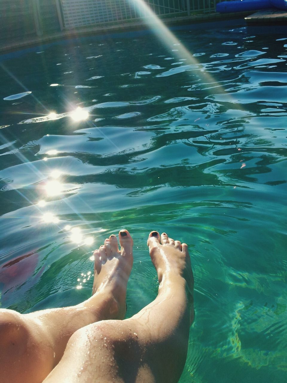 water, personal perspective, person, low section, animal themes, barefoot, part of, swimming pool, one animal, leisure activity, sunlight, lifestyles, relaxation, human foot, swimming, pets