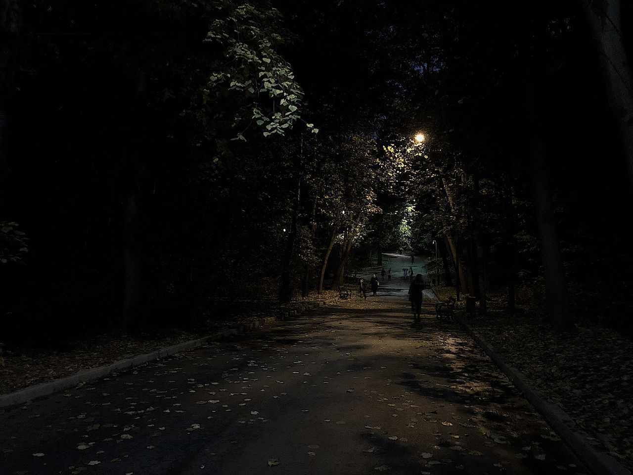 VIEW OF PERSON WALKING ON ROAD