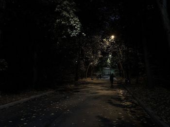 View of person walking on road at night