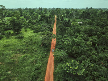 Ivory coast, korhogo, aerial view of 4x4 car driving along dirt road cutting through green jungle