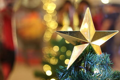 Close-up of christmas tree