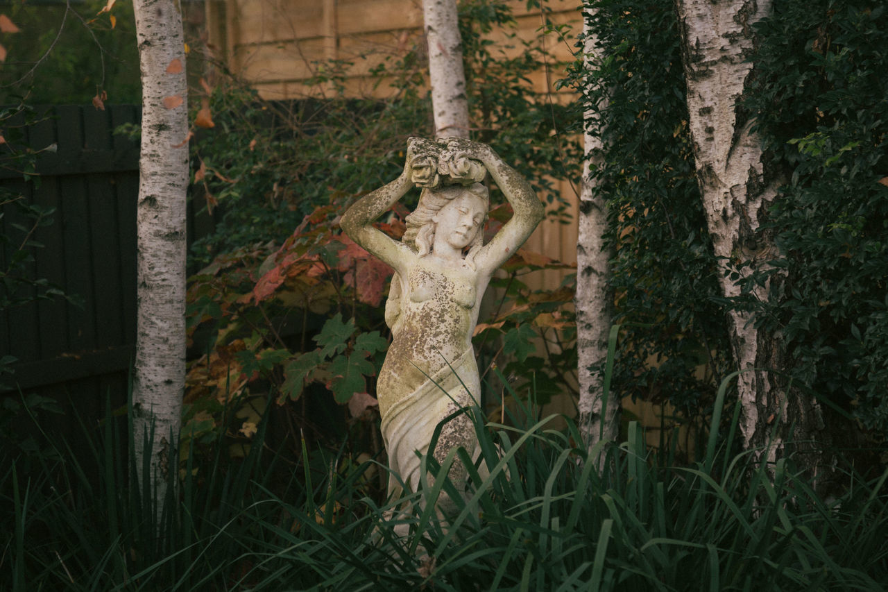 STATUE AMIDST PLANTS