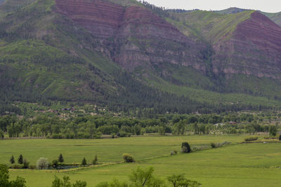 Scenic view of rural landscape