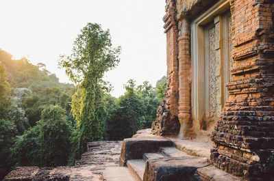 Old ruin amidst trees and buildings against sky