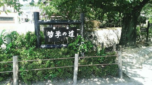 View of fence with trees in background