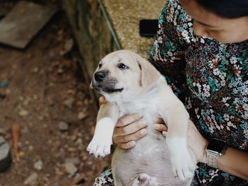 High angle view of man holding dog