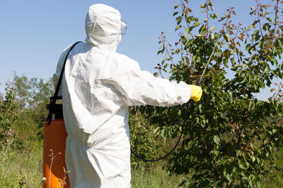 Rear view of male worker in protective workwear spraying insecticide on plants