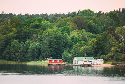 Scenic view of lake in forest