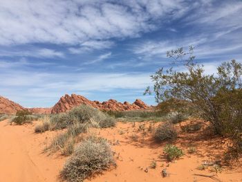 Scenic view of desert against sky