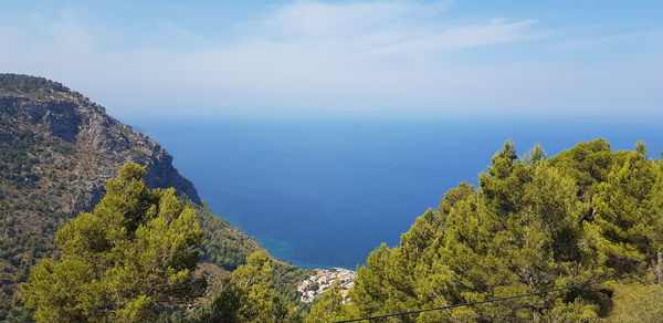 High angle view of tree by sea against sky