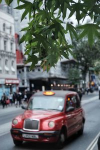 Close-up of car on road