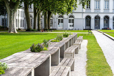 Benches and tables with flowers arranged in a row in the park, in the background a large building.