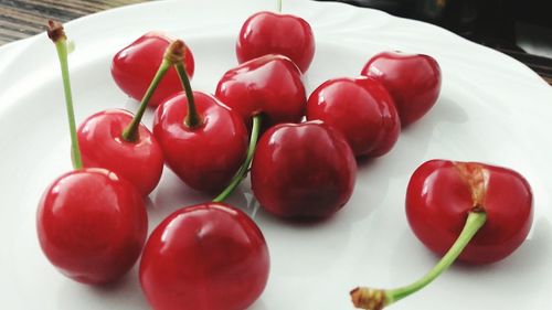 Close-up of tomatoes in plate on table