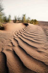 Sand dunes against clear sky