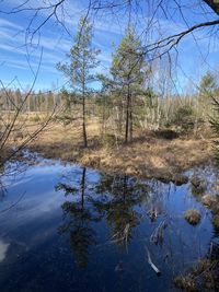 Reflection of trees in lake against sky