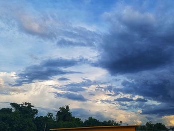 Low angle view of trees against sky