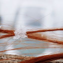 Close-up of snow on the sky