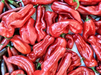 Full frame of tomatoes for sale in market