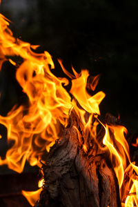 Close-up of bonfire at night