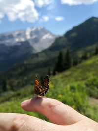 Person holding butterfly on mountain