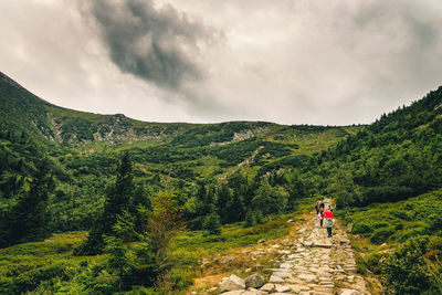 Rear view of people walking on mountain against sky