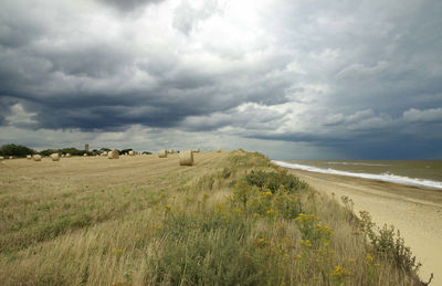 Scenic view of beach against sky