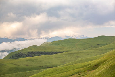 Scenic view of green landscape against sky