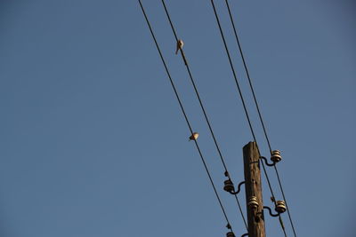 Low angle view of bird perching on cable against clear sky