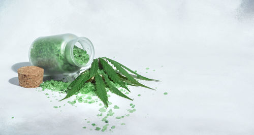 Close-up of drink on table against white background