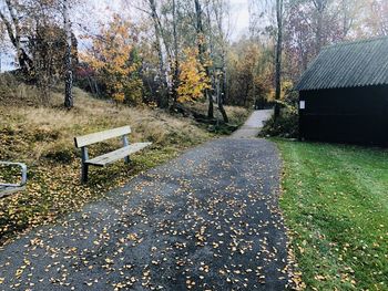 Empty bench by road in park during autumn