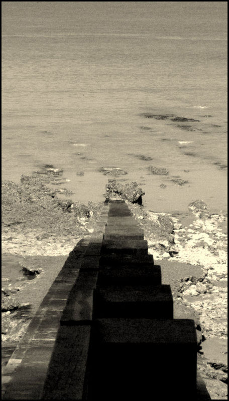 steps, water, the way forward, high angle view, sea, auto post production filter, transfer print, built structure, staircase, day, pier, sunlight, shadow, outdoors, steps and staircases, nature, tranquility, wood - material, beach, tranquil scene