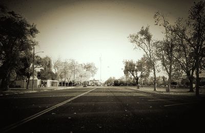 Empty road along trees