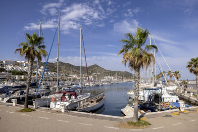 Boats moored in harbor