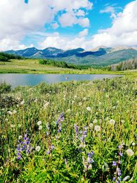 Scenic view of meadow by lakeside against mountain range and clouds