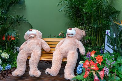 View of statue against plants