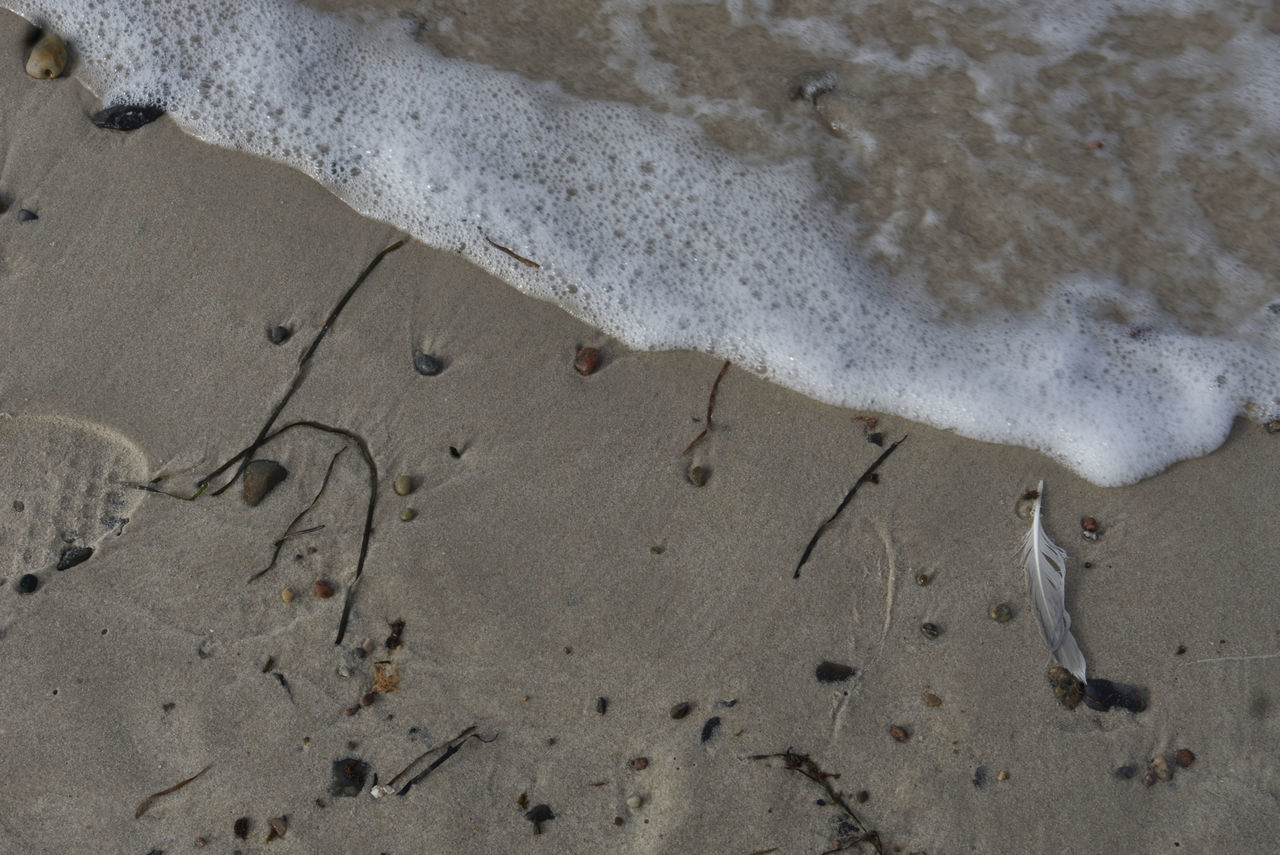 Track in the sand