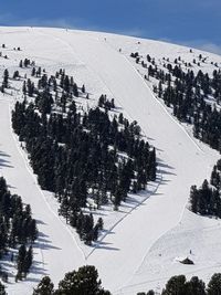 Trees on snow covered land against sky