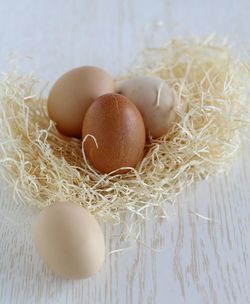 Close-up of eggs