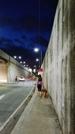 Rear view of woman walking with dog on illuminated street at night