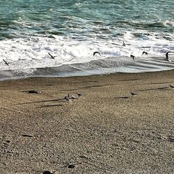 Close-up of wet sand on beach