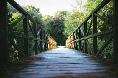 Surface level of footbridge along trees in forest